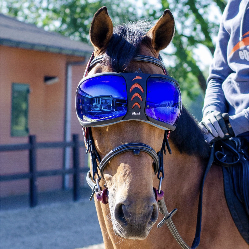 Lunettes De Protection Pour Cheval - Couvre-Yeux Équestres Anti-Vent/Sable, Sangle Réglable, Taille Unique 15x27 Cm