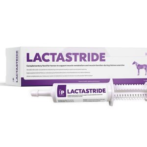 HP LactaStride