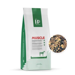 HP Muscle (formerly Bonpard Muscle)